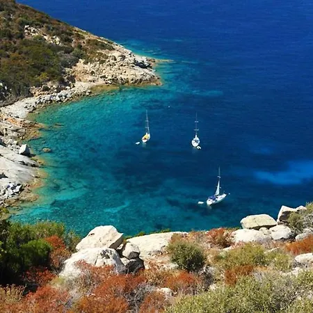 A Avec Vue Sur Mer, 39 M² 아파트 *