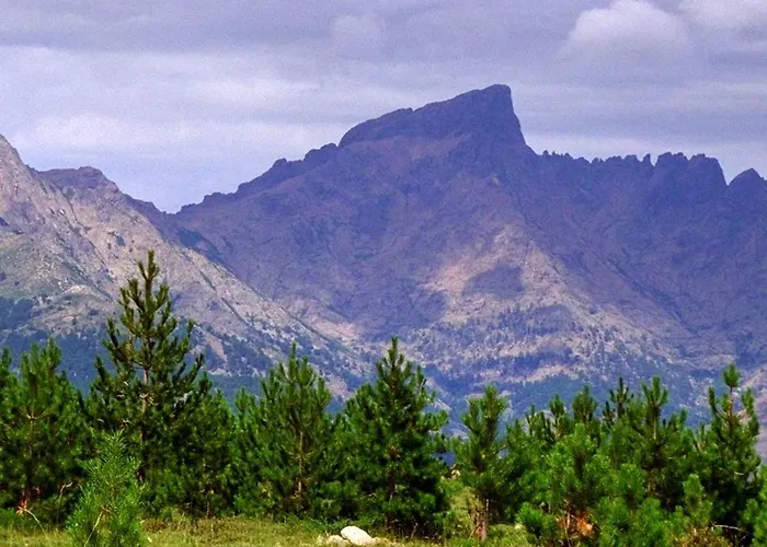 Apartmán A Avec Vue Sur Mer, 39 M² Galeria (Corsica)